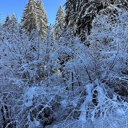 Cosy Proche Du Centre De Apartmán