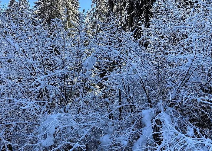 Cosy Proche Du Centre De Apartmán